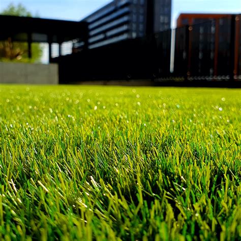 Turf .